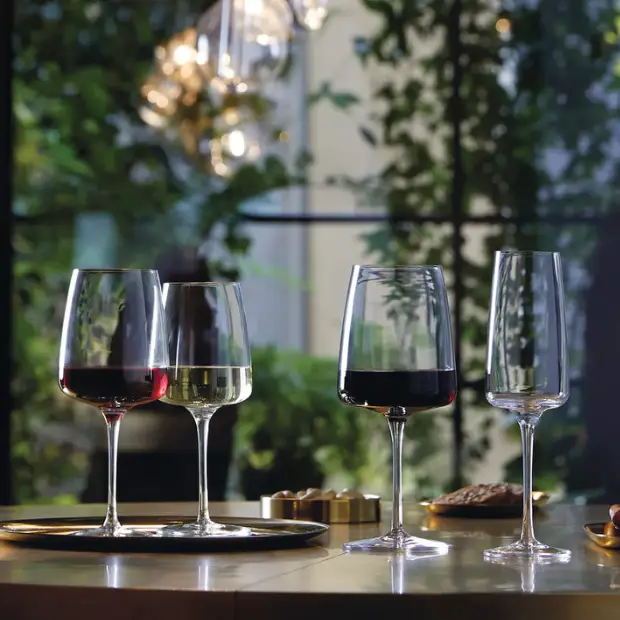 Bormioli Rocco Planeo Gran Rosso Wine Glasses - 555ml - Set of 4