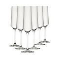 Murray Champagne Glasses - 220ml - Set of 6