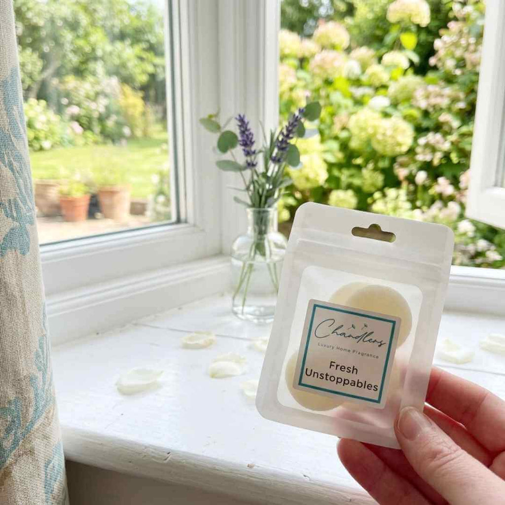 Scented Hoover Discs - Vacuum Fresheners